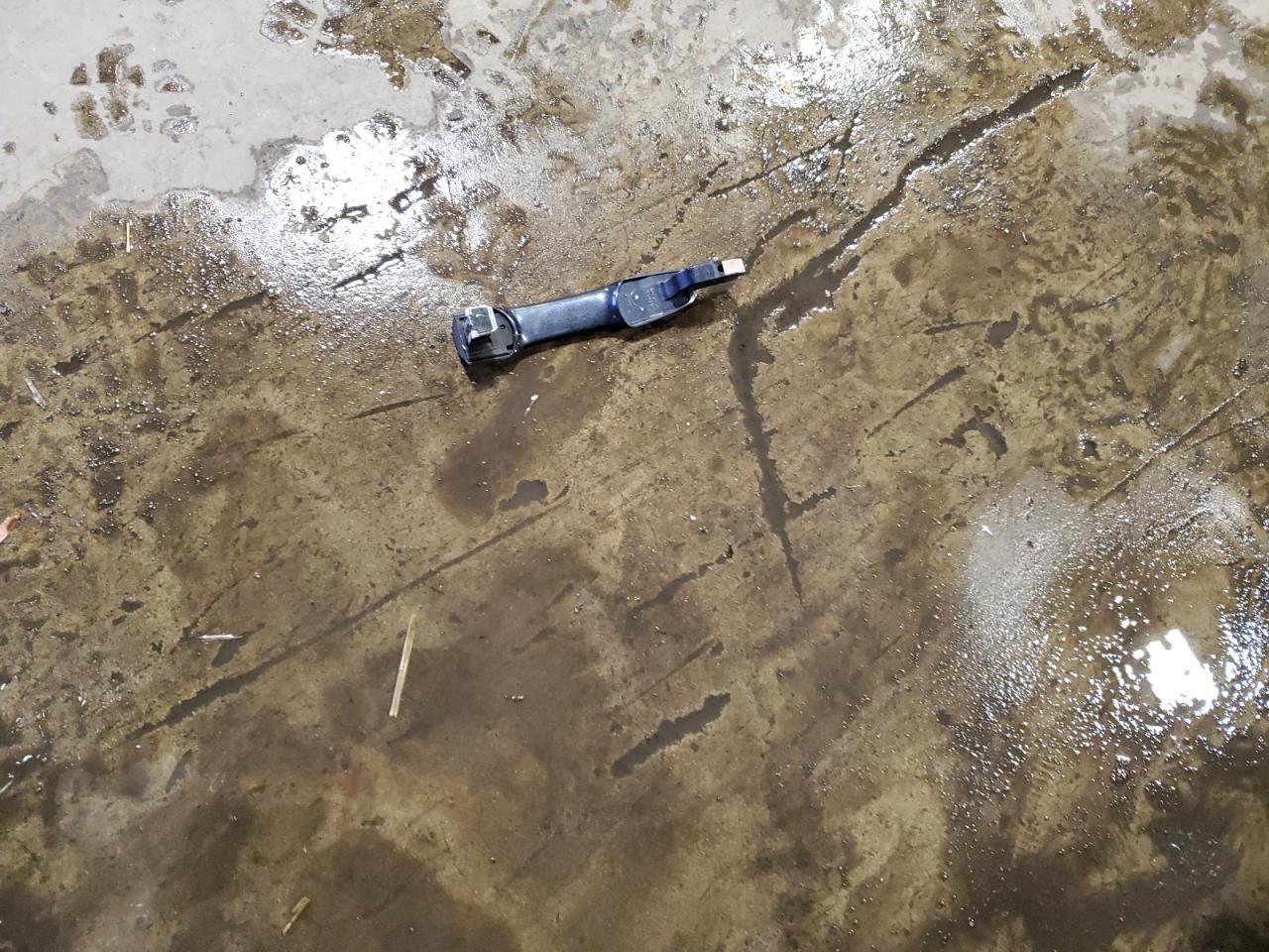 2019 Honda Civic - zdjęcie 12