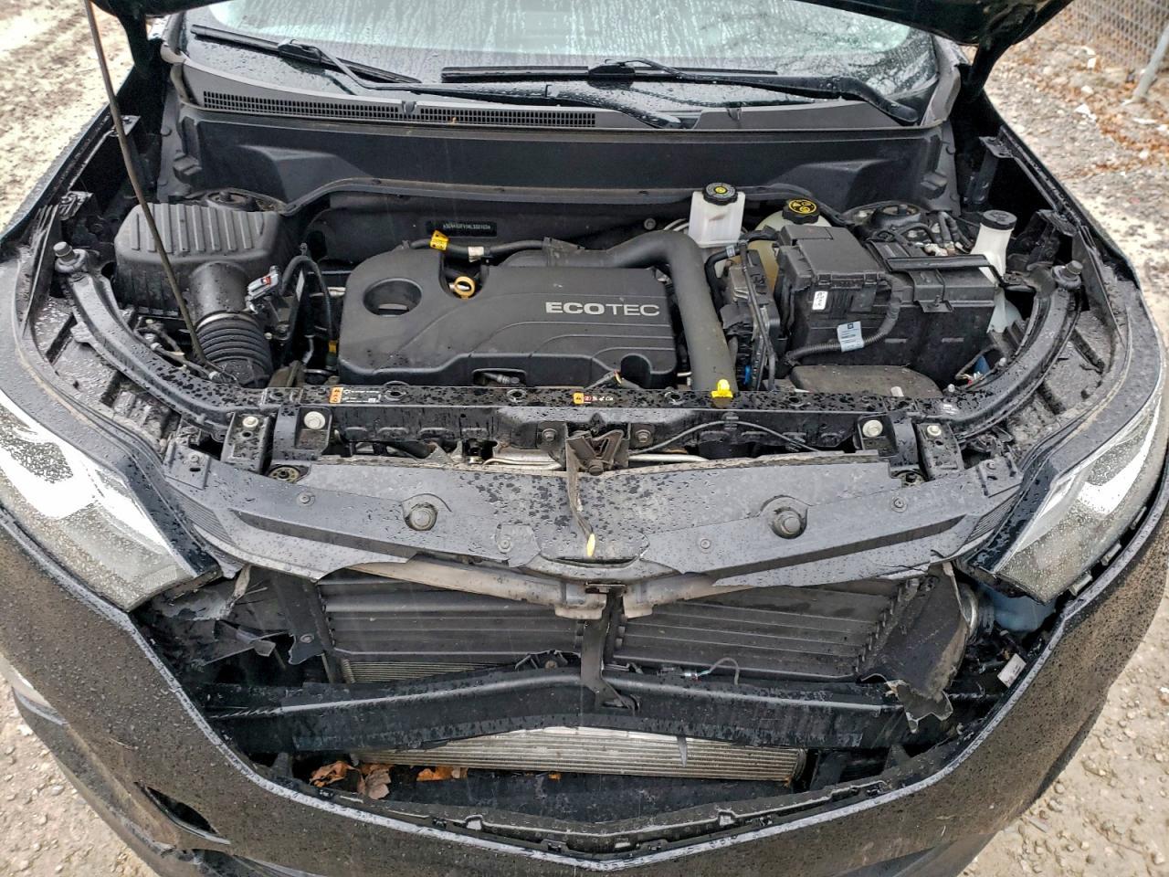 2019 Chevrolet Equinox - zdjęcie 12