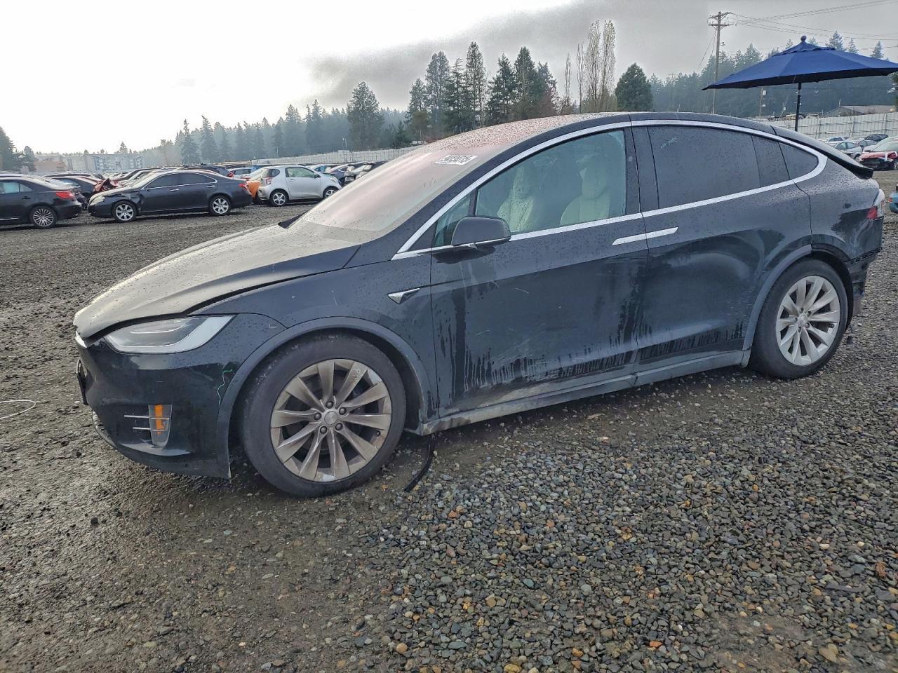 2019 Tesla Model X - zdjęcie główne