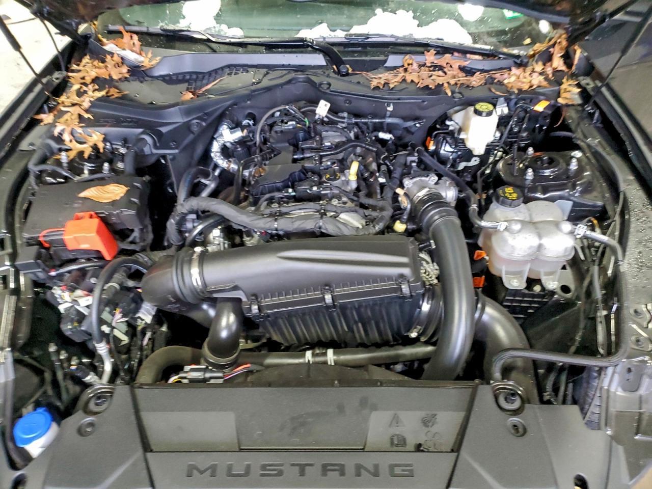 2024 Ford Mustang - zdjęcie 11