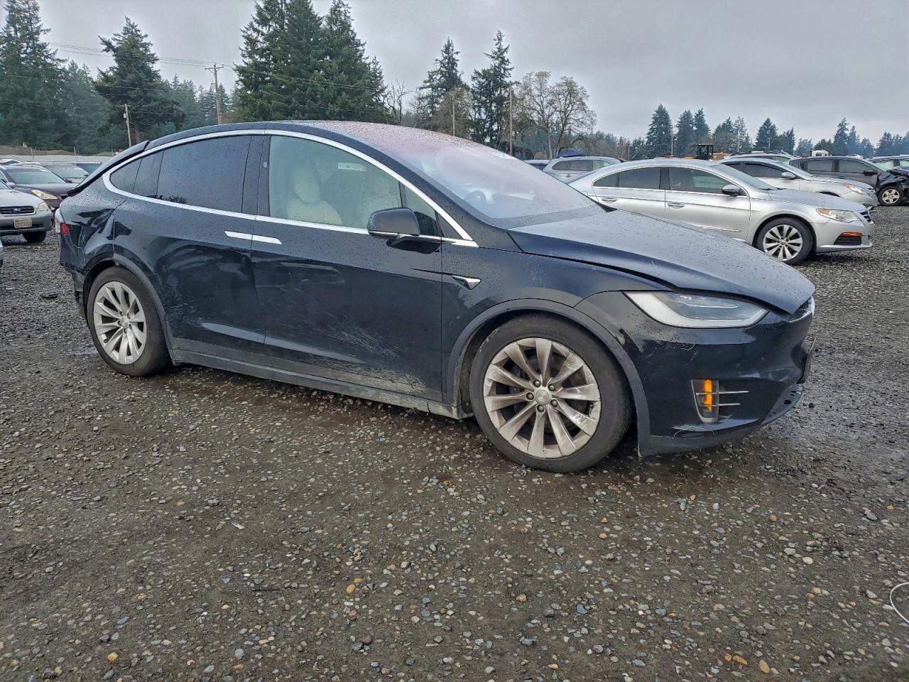 2019 Tesla Model X - zdjęcie 4