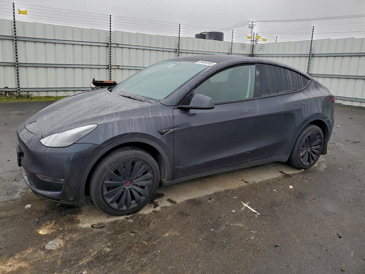 2024 Tesla Model Y