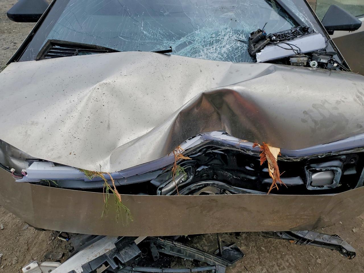 2024 Tesla Cybertruck - zdjęcie 11