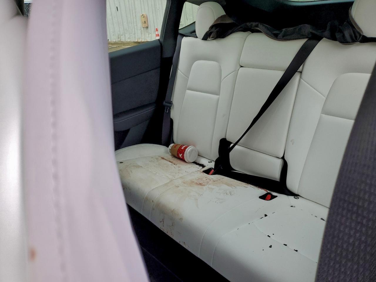 2024 Tesla Model Y - zdjęcie 10