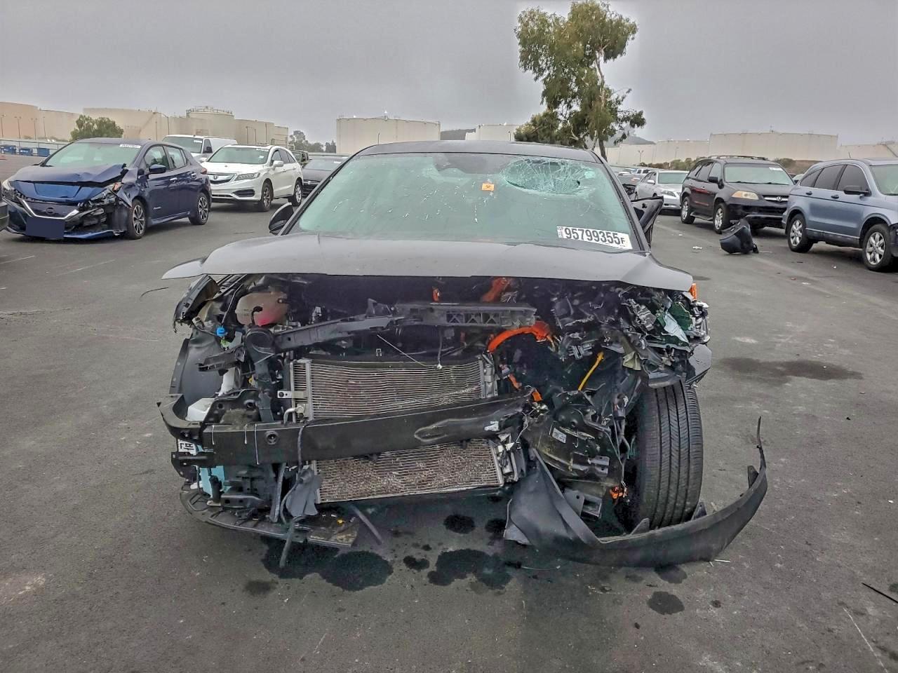 2024 Hyundai Elantra Blue - zdjęcie 5