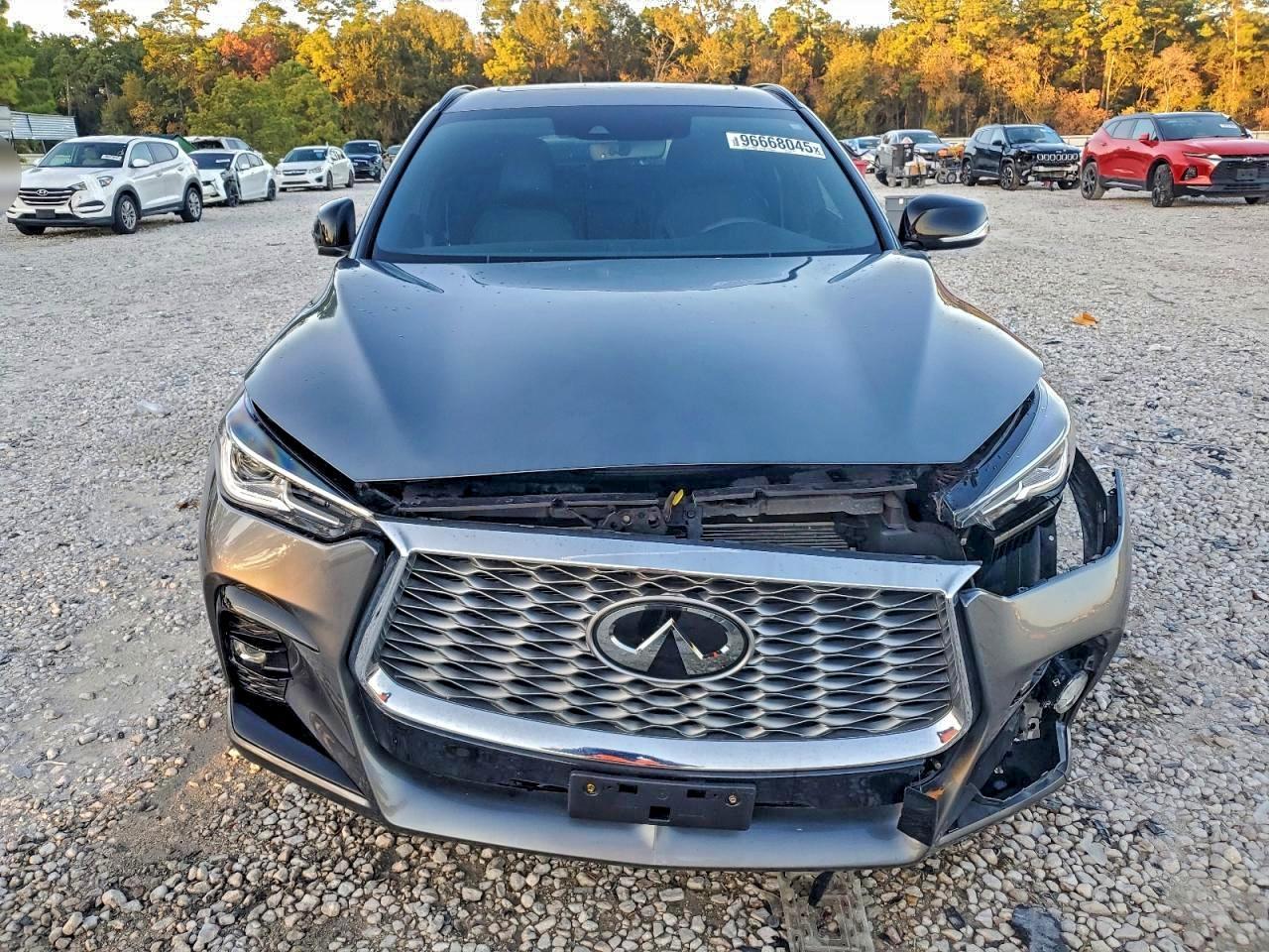 2024 Infiniti Qx55 Luxe - zdjęcie 5