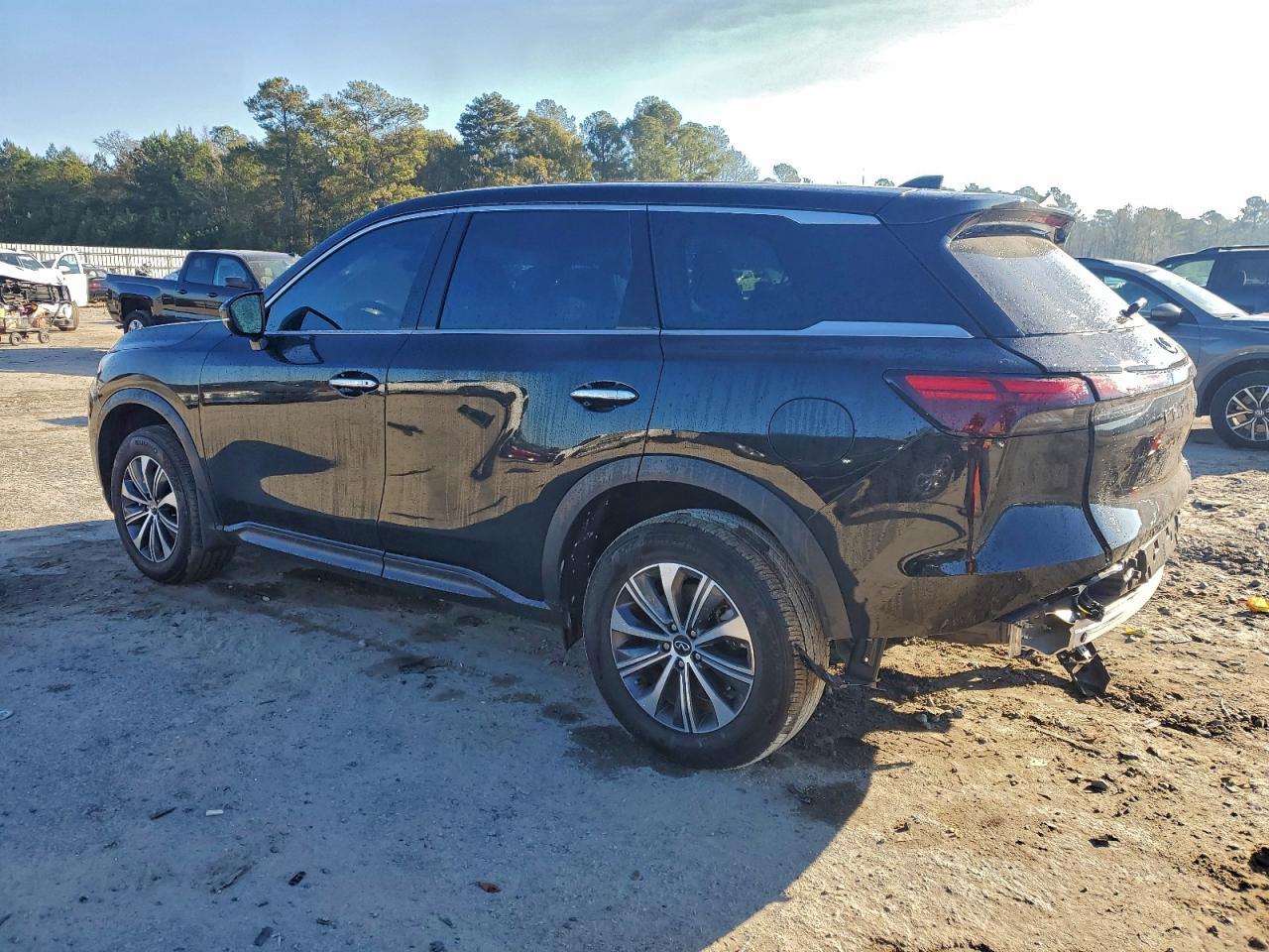 2024 Infiniti Qx60 Pure - zdjęcie 2