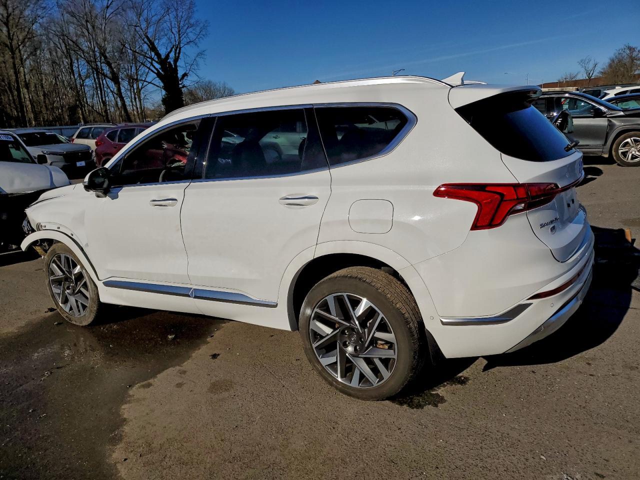 2023 Hyundai Santa Fe Calligraphy - zdjęcie 2