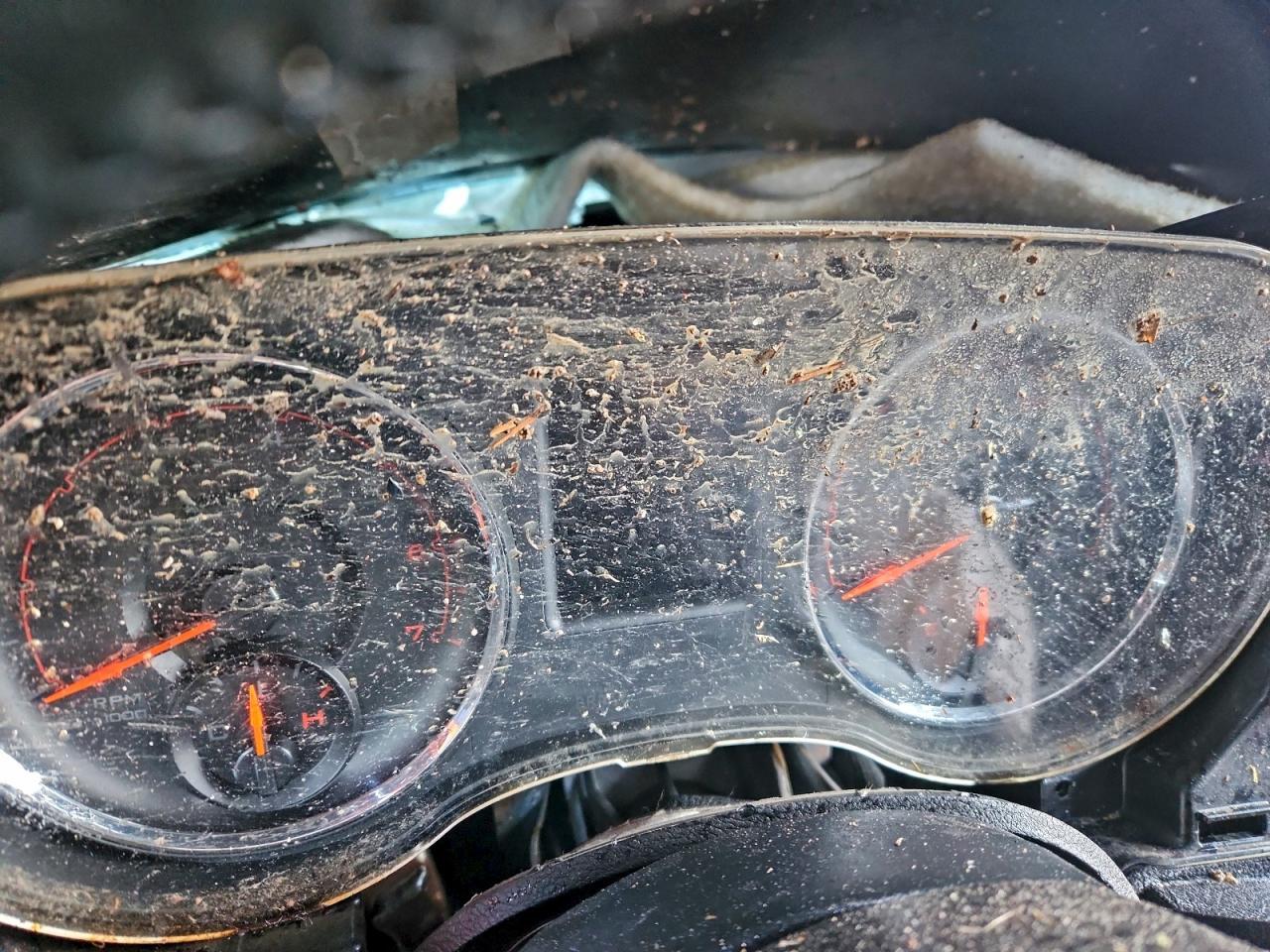 2014 Dodge Charger R/T - zdjęcie 9