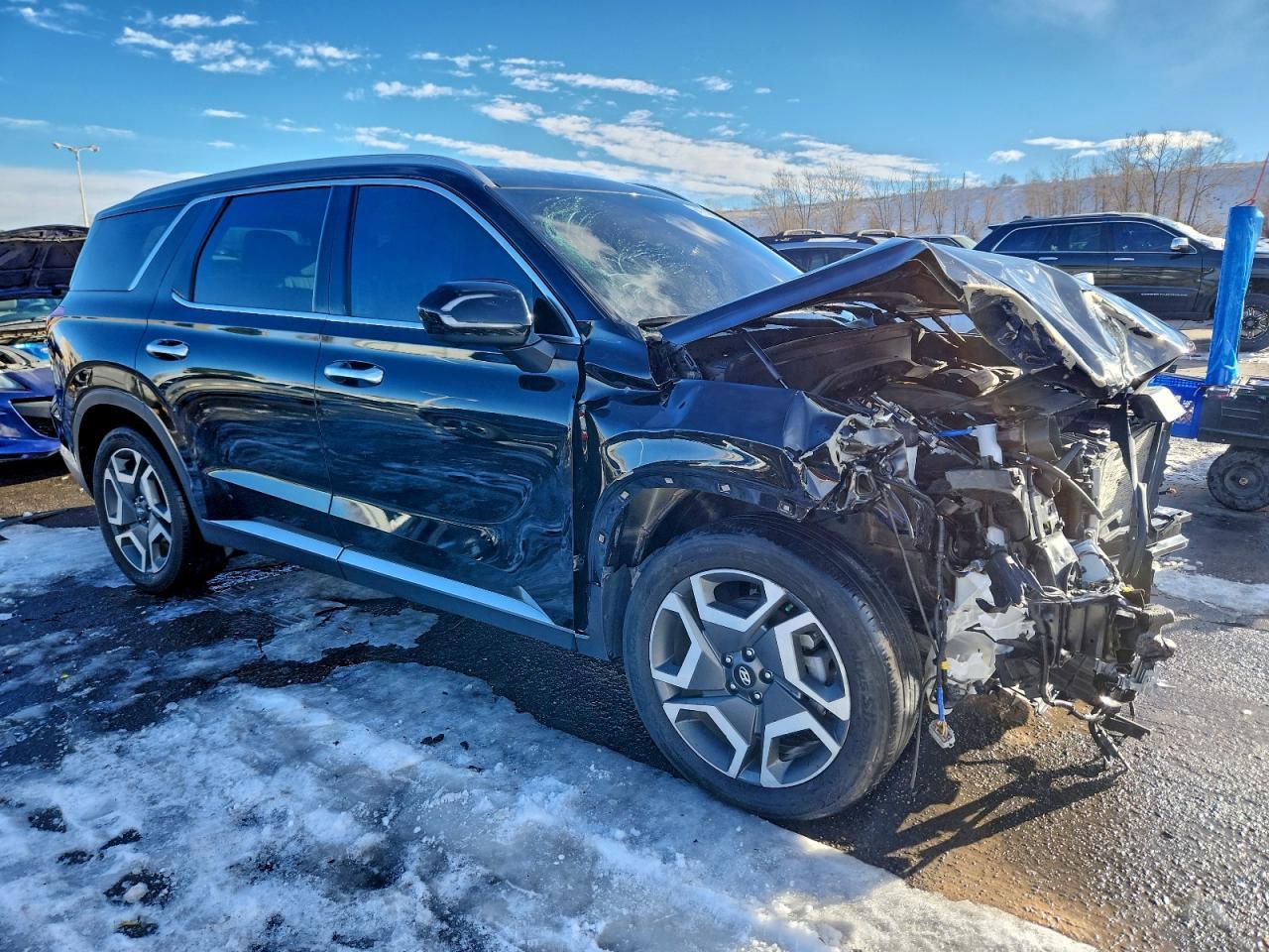 2024 Hyundai Palisade Limited - zdjęcie 4