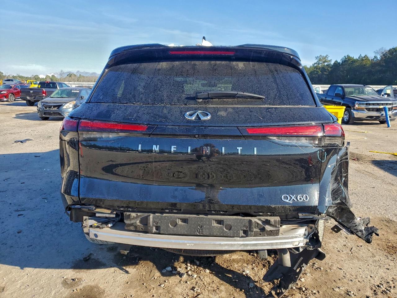 2024 Infiniti Qx60 Pure - zdjęcie 6