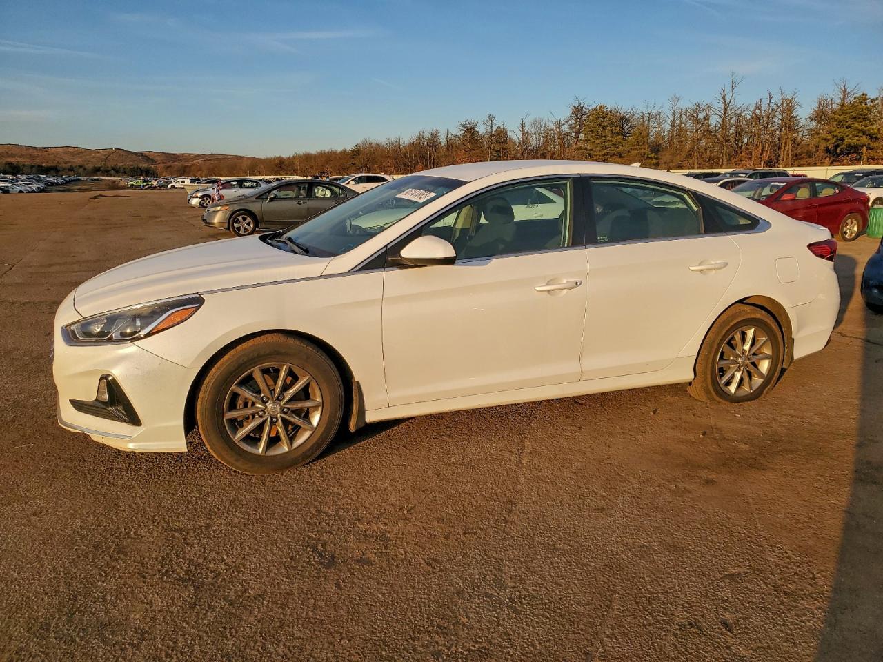 2019 Hyundai Sonata Se - zdjęcie główne