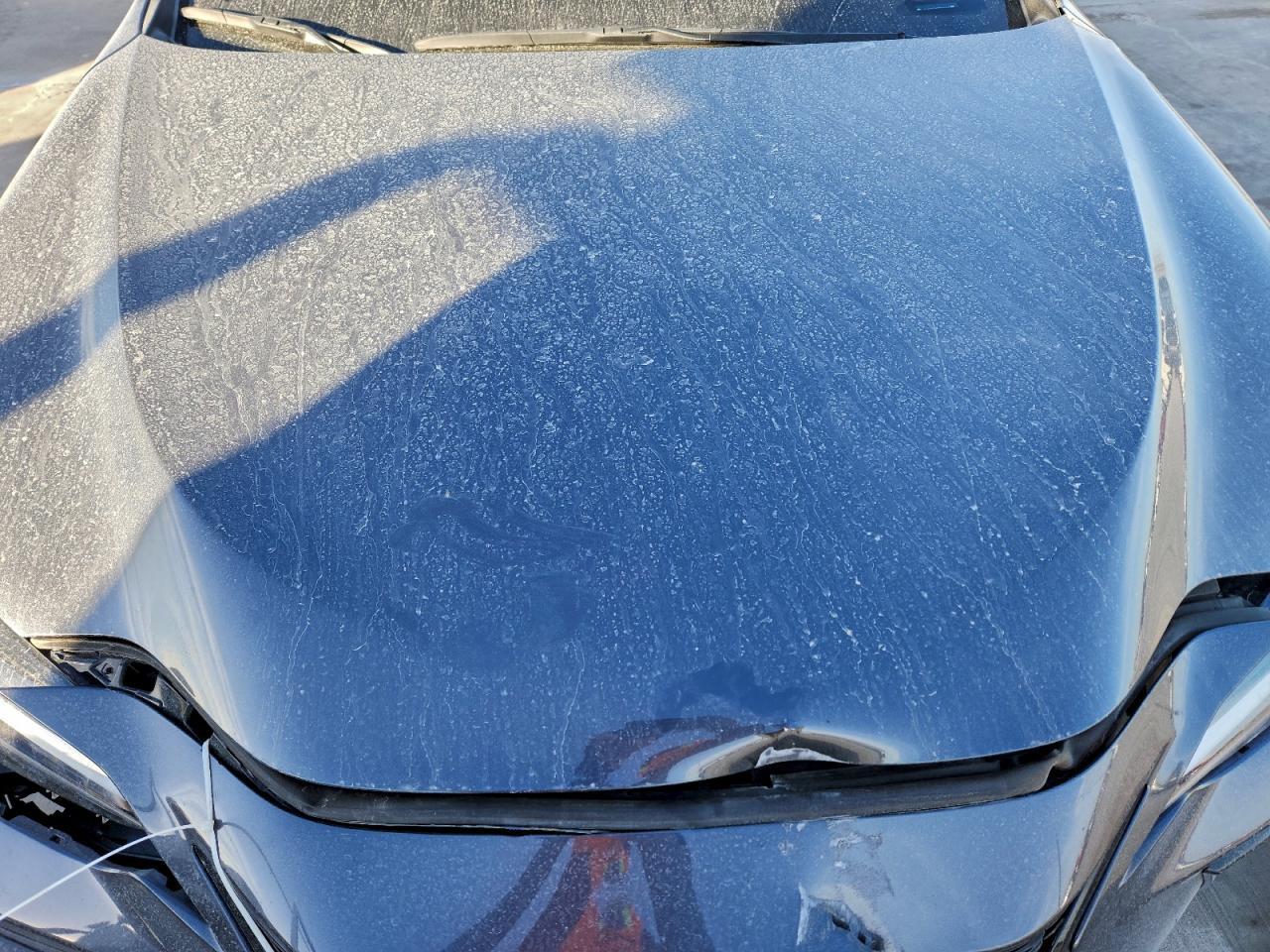 2024 Lexus Nx 450H Luxury - zdjęcie 11