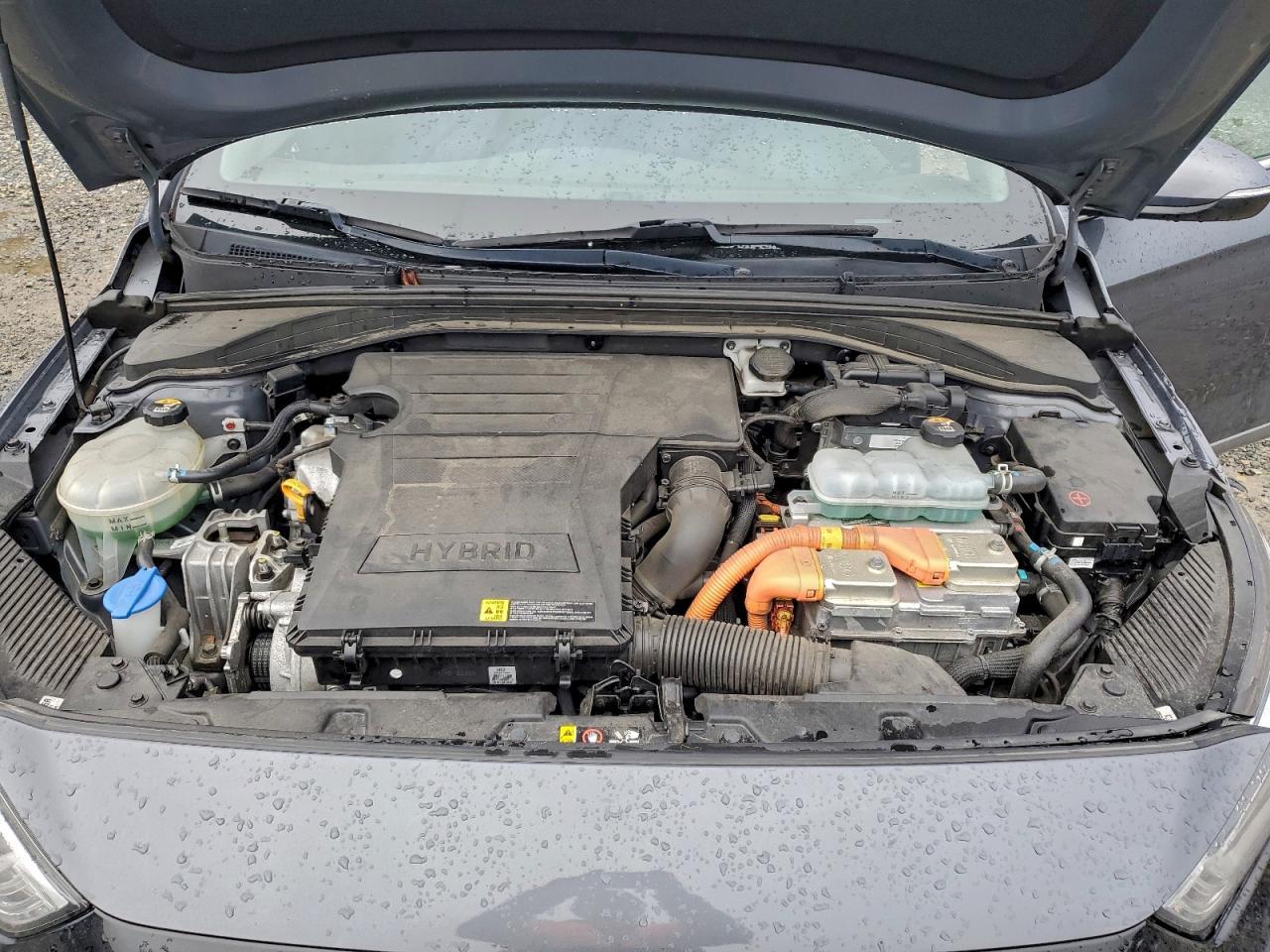 2019 Hyundai Ioniq Sel - zdjęcie 11