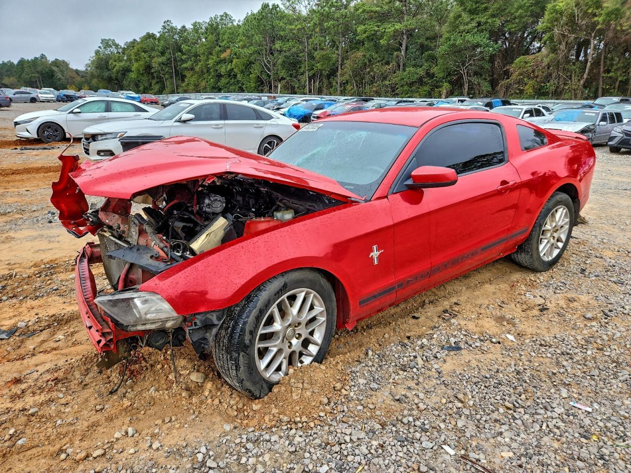 2014 Ford Mustang - zdjęcie główne