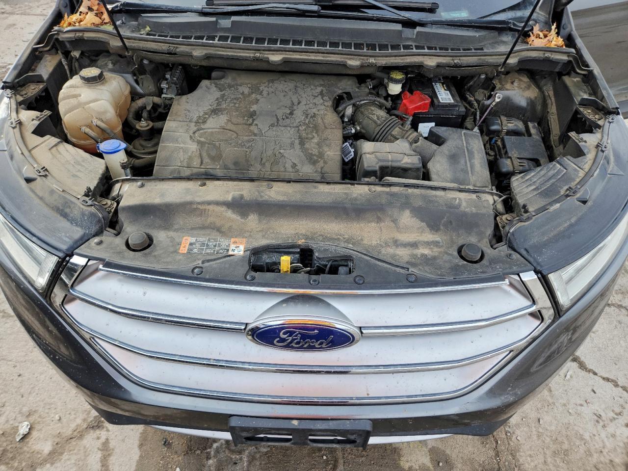 2015 Ford Edge Sel - zdjęcie 12