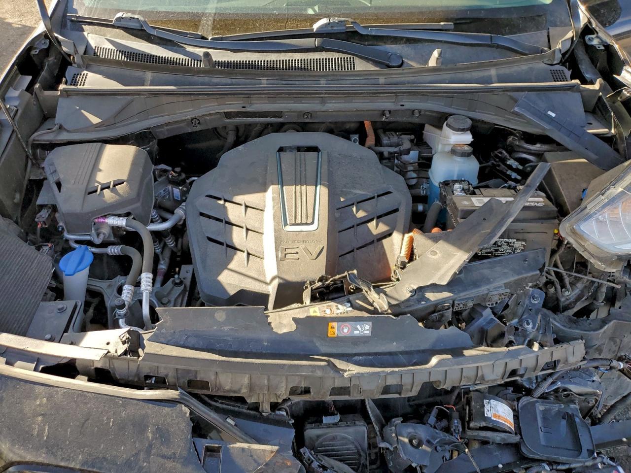 2019 Kia Niro Ev Ex - zdjęcie 12