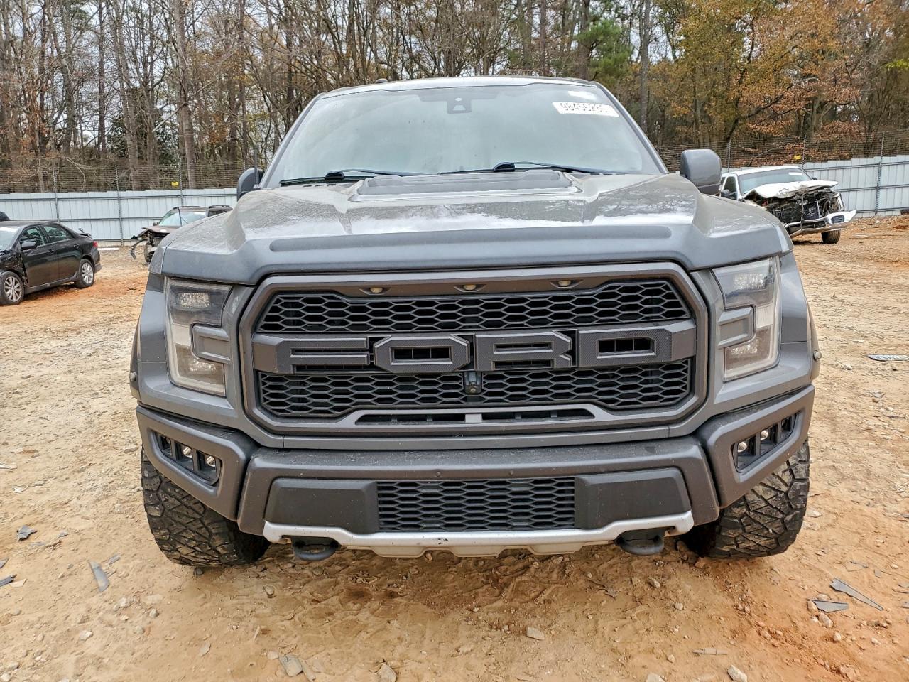 2018 Ford F150 Raptor - zdjęcie 5