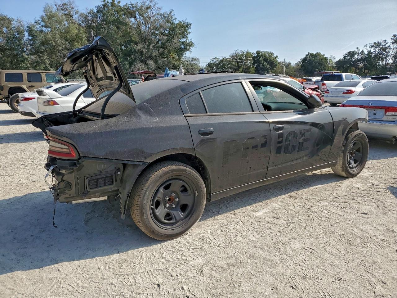 2019 Dodge Charger Police - zdjęcie 3