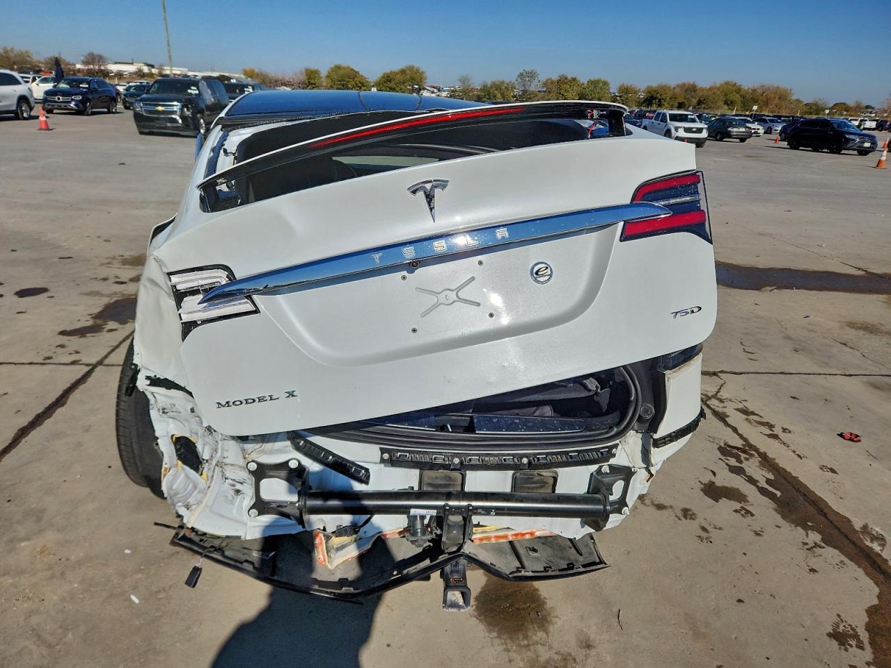 2018 Tesla Model X - zdjęcie 6