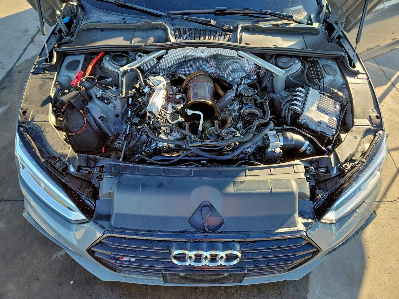 2019 Audi S5 Premium Plus - zdjęcie 11