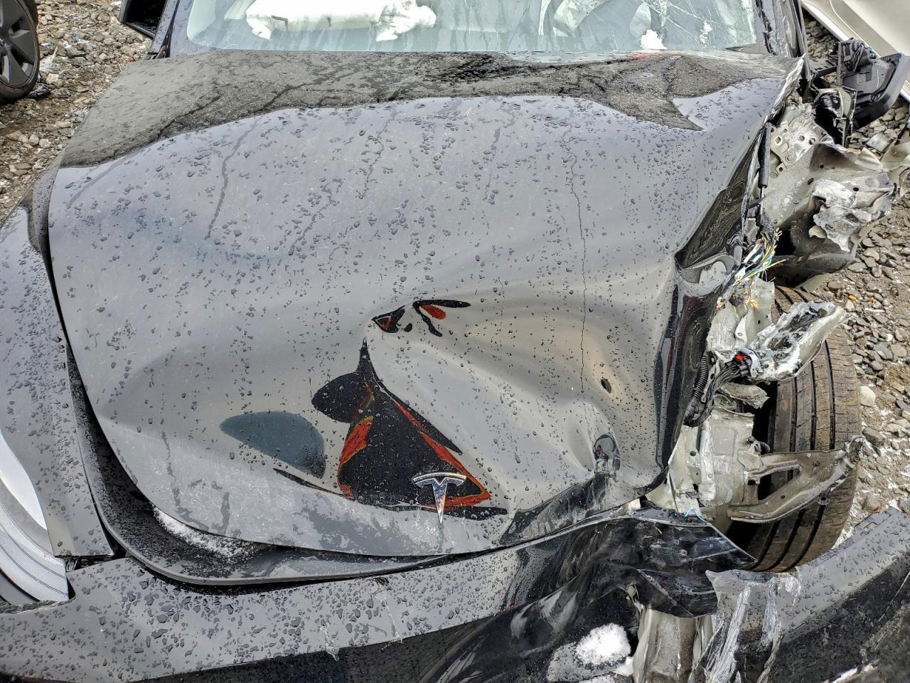 2024 Tesla Model Y - zdjęcie 11