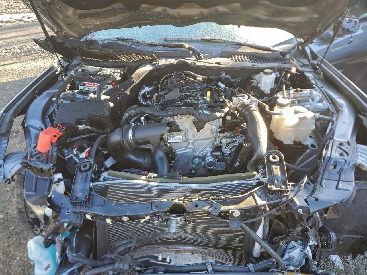 2024 Ford Mustang - zdjęcie 11