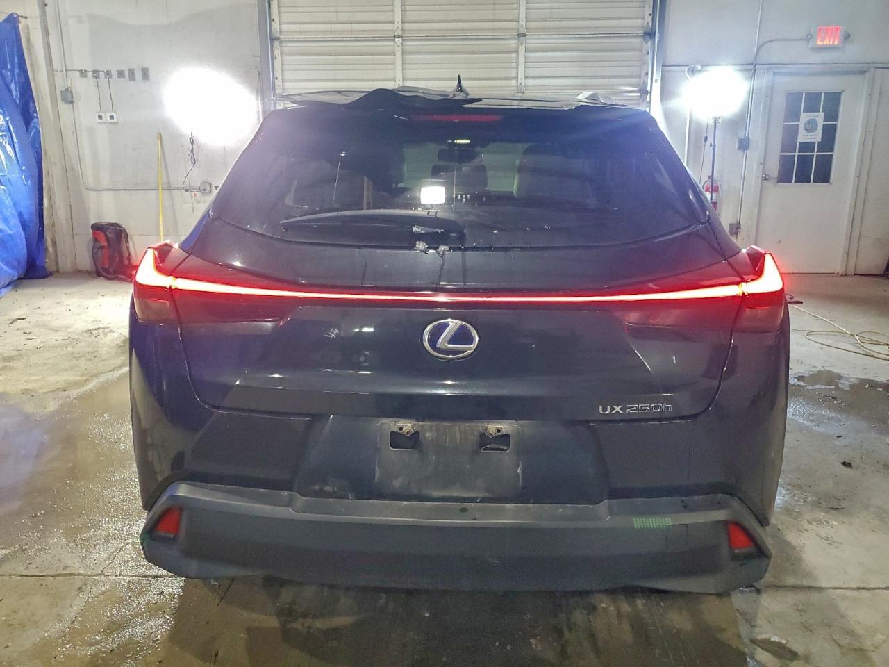 2020 Lexus Ux 250H - zdjęcie 6